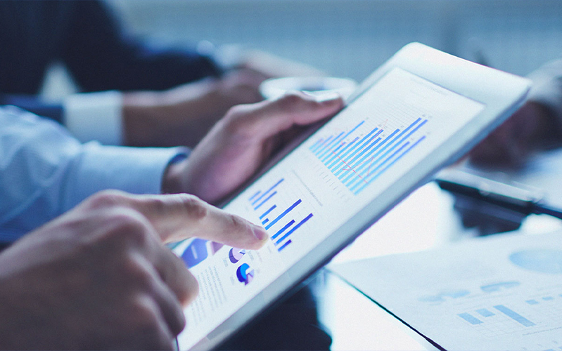 Suppliers create information by themselves (ERP establishes suppliers)